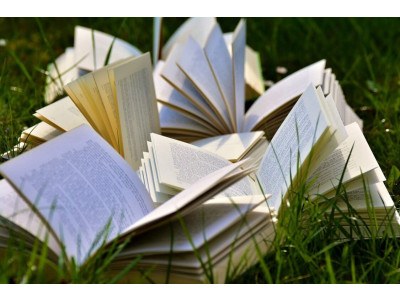 Scopri i 10 migliori libri sul trail per migliorare, ispirarti e comprendere meglio la corsa nella natura. Selezione ideale per tutti i livelli.