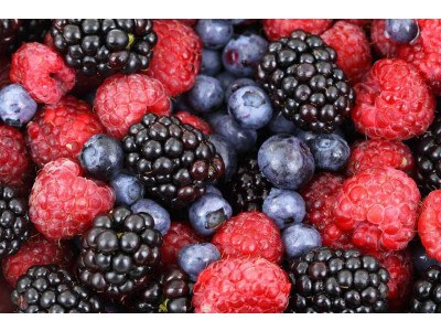 Consigli Nutrizonali Essenziali per gli Sportivi di Endurance