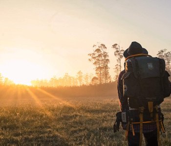 Conseils de sécurité essentiels pour les randonneurs