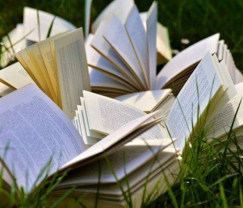 Les 10 livres incontournables à lire sur le Trail Running