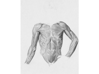 Scopri i diversi tipi di fibre muscolari e il loro impatto sul tuo allenamento e sulle prestazioni in endurance (triathlon, trail)