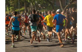 Essential Trail Running Gear: Shoes, Backpack, Headlamp, Technical Clothing, Nutrition - Be Well-Equipped and Safe