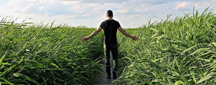 Recovery week: essential!