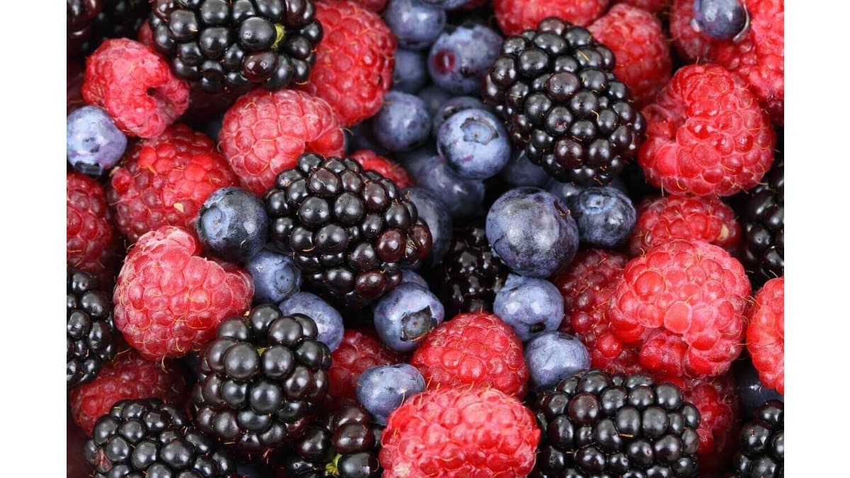 Essential Nutrition Tips for Athletes: From Triathlon to Trail - Fuel Smartly to Reach Your Goals.