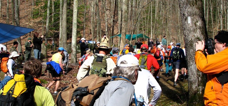 L'Implacable Verdict : La Barkley Marathons 2025 Déclare Forfait Général – Zéro Finisher