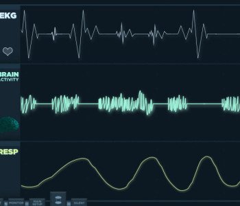 Tout savoir sur la cohérence cardiaque