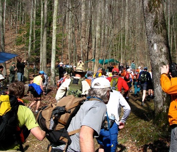 L'Implacable Verdict : La Barkley Marathons 2025 Déclare Forfait Général – Zéro Finisher
