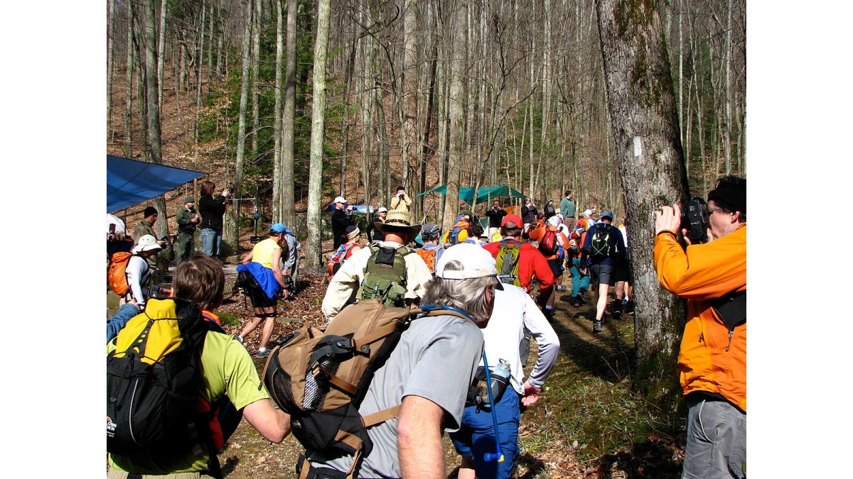 L'Implacable Verdict : La Barkley Marathons 2025 Déclare Forfait Général – Zéro Finisher